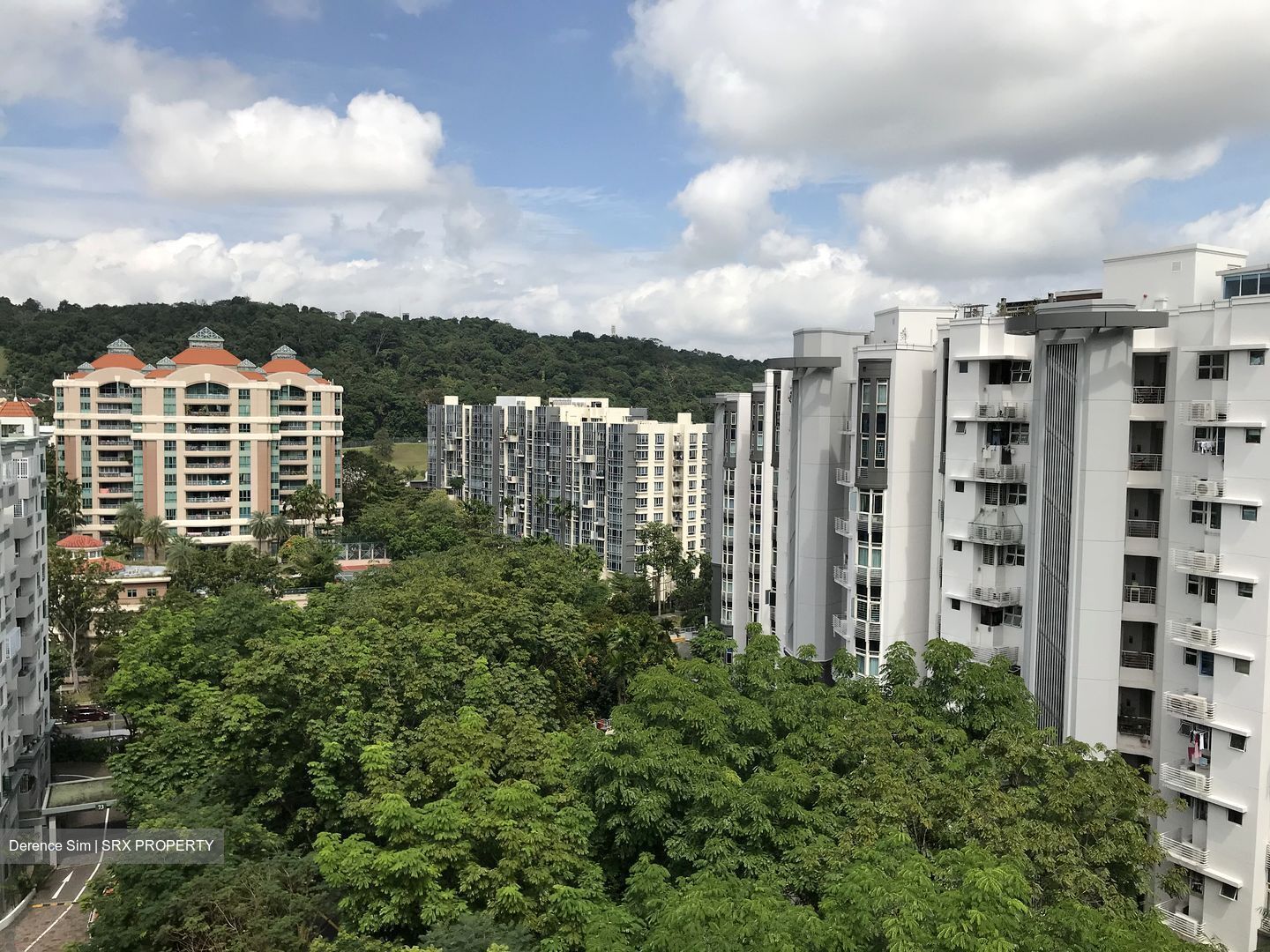 Hillview Green (D21), Condominium #425669081